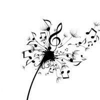 Profile picture for user FedericoCampos