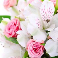 Profile picture for user AdaKrasnov