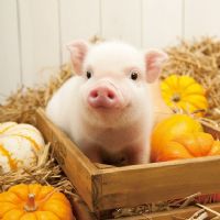 Profile picture for user Aisha77