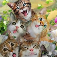 Evelyn Daniela Torres Cahuasquí ?