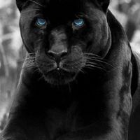 TeresitaMariaPizarro