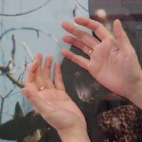 Profile picture for user Delia_Gato