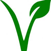 Profile picture for user helloenglishcon1nativa