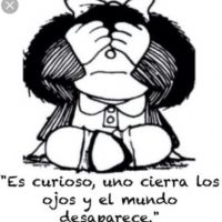 Profile picture for user profedeguille