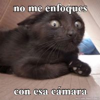 Samuel Rodriguez Moreno