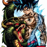 Henry Dario Gavilanes Tigse