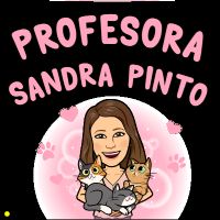 Profile picture for user SandraPintoR