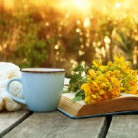 Profile picture for user Wafa_Alrehaili