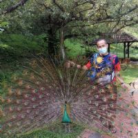 Profile picture for user ahmadshahriljamaluddin