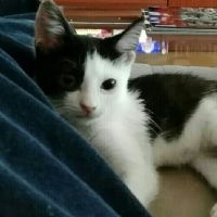 Profile picture for user pilargdelc