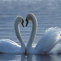 Enma Aurora.Ruiz Acaro