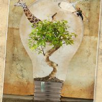 Profile picture for user BCecilia