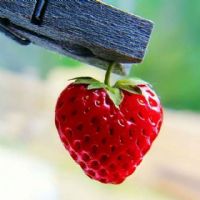 Profile picture for user CIKGU_ZA4