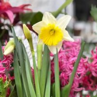 Profile picture for user Tus clases de lengua