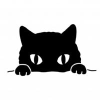 Profile picture for user pieros2021