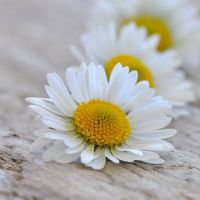 Profile picture for user AgnieszkaDabek