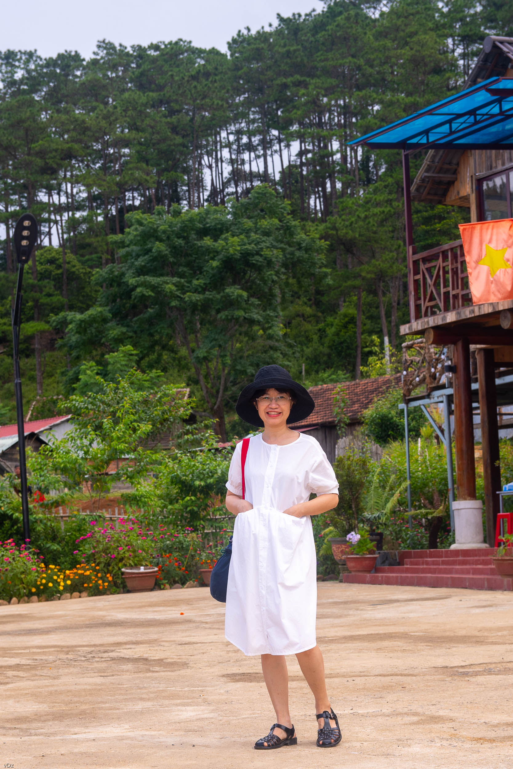 Profile picture for user ngonhuha