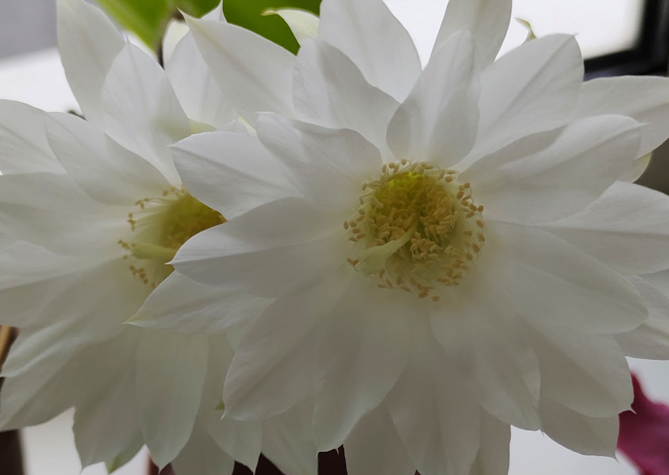 Profile picture for user lariles