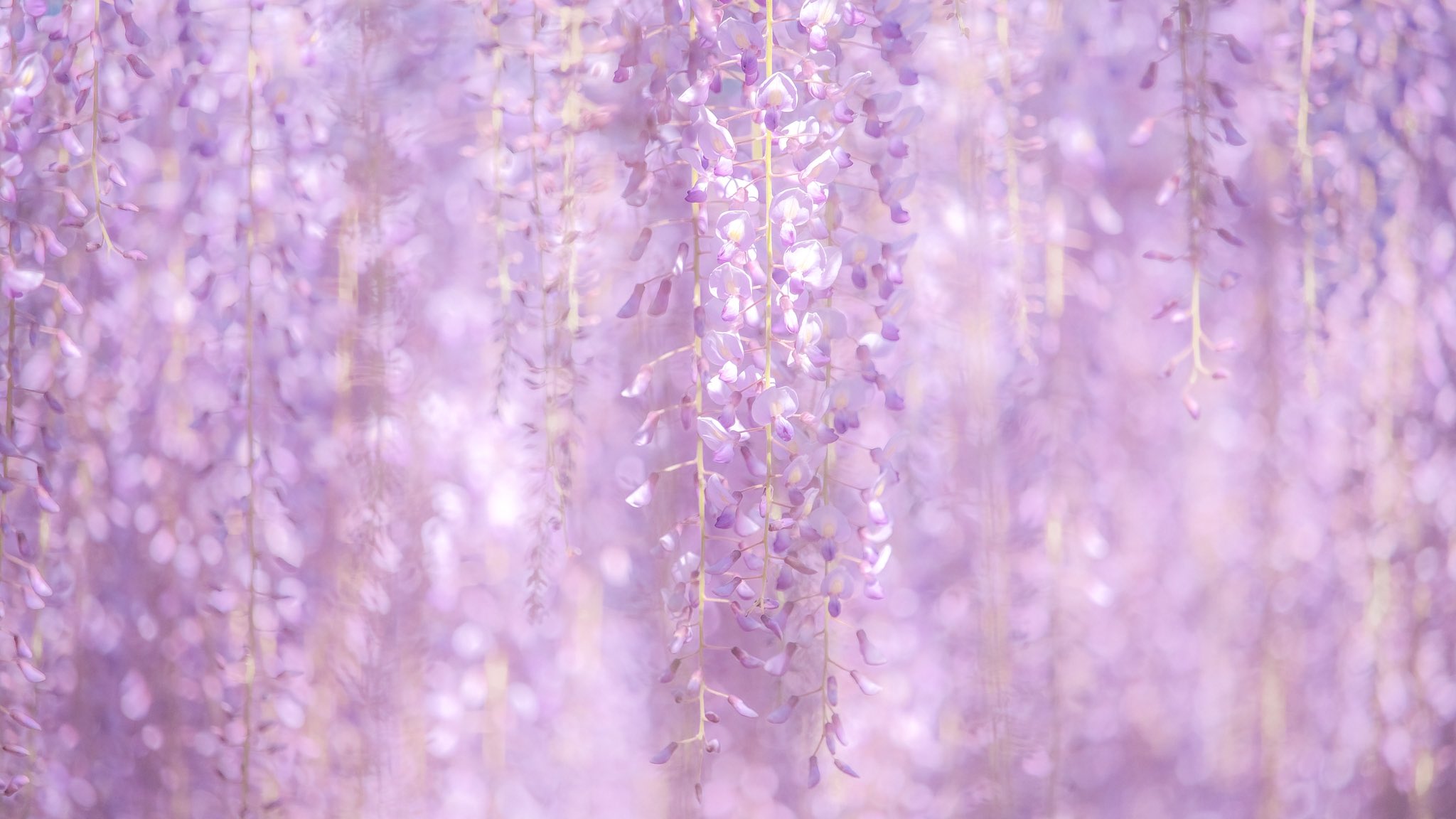 Profile picture for user DariaDr