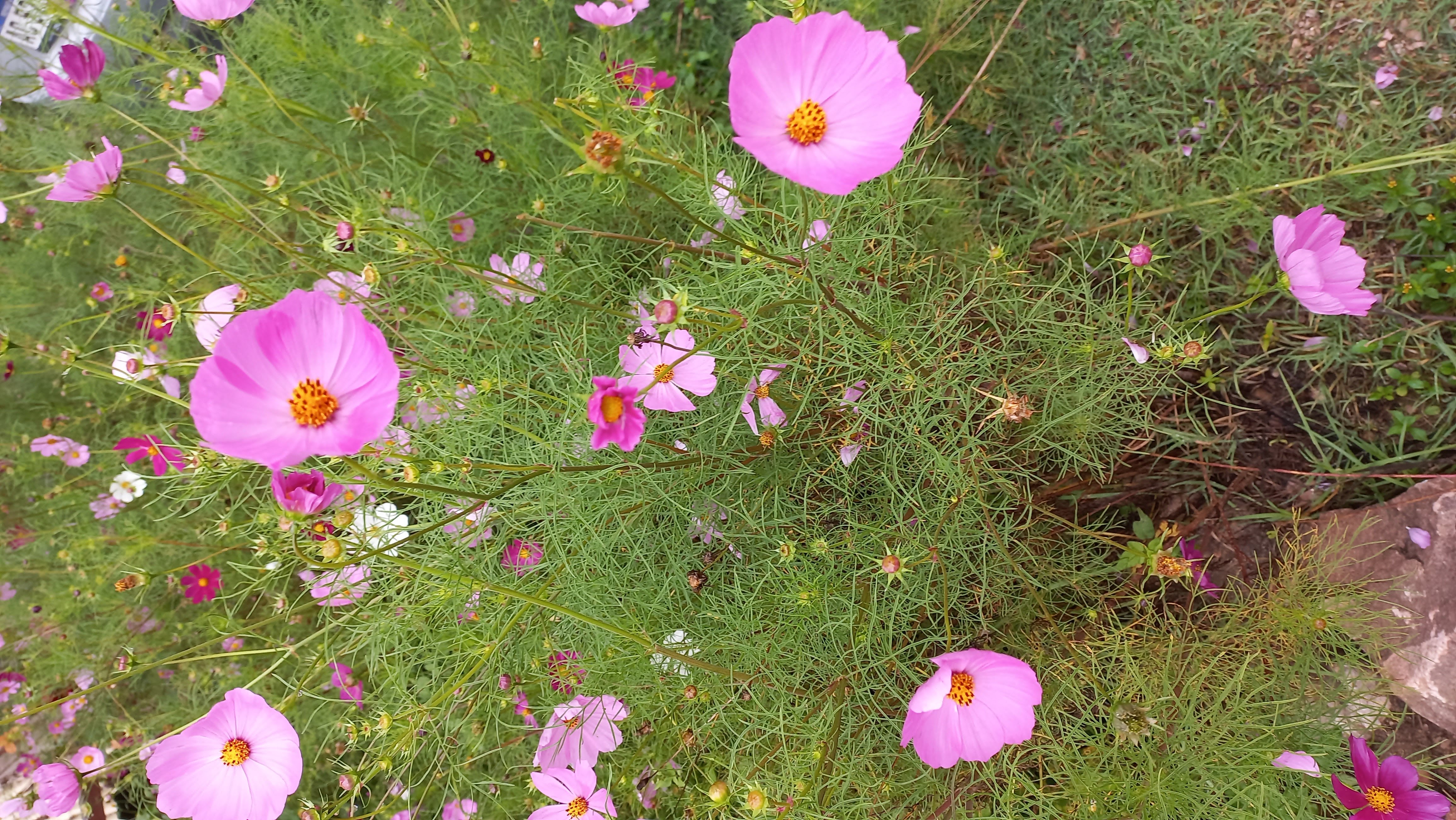 Profile picture for user susanafuchs