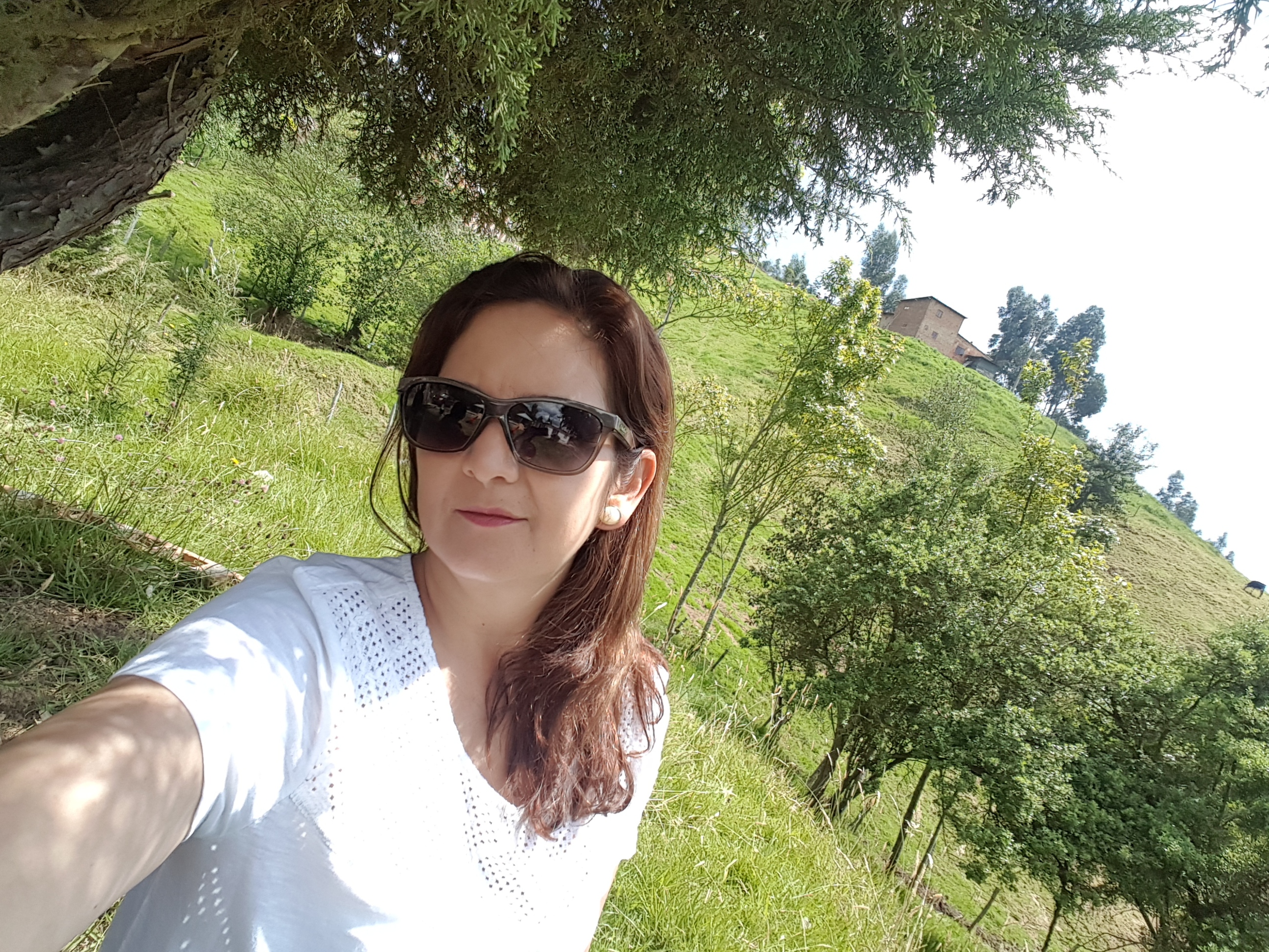 Profile picture for user Ludhin Helena