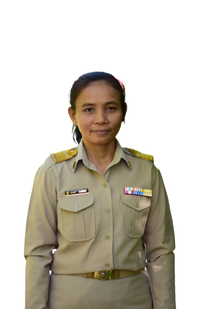 Profile picture for user sampao