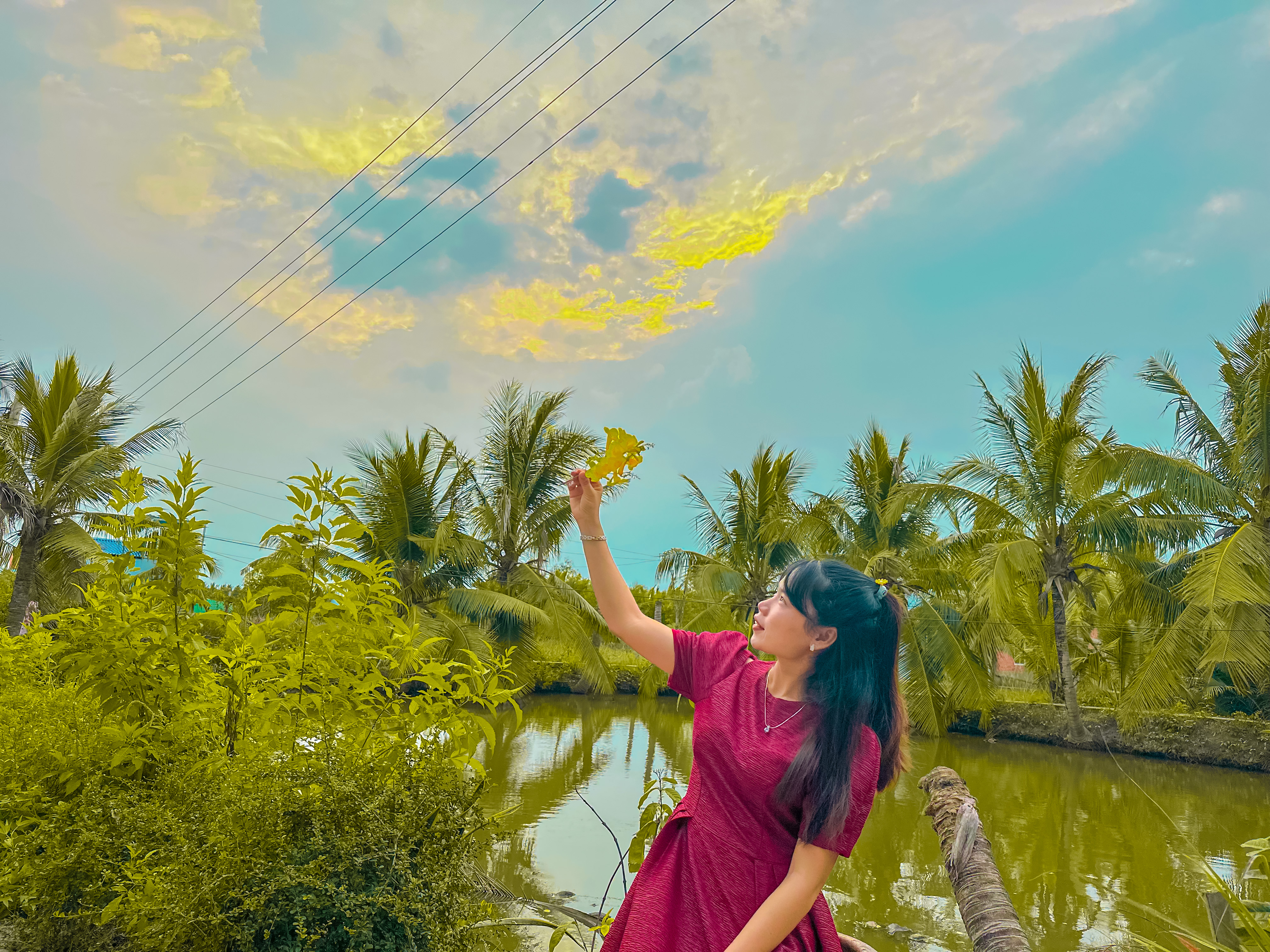 Profile picture for user phuongtruc