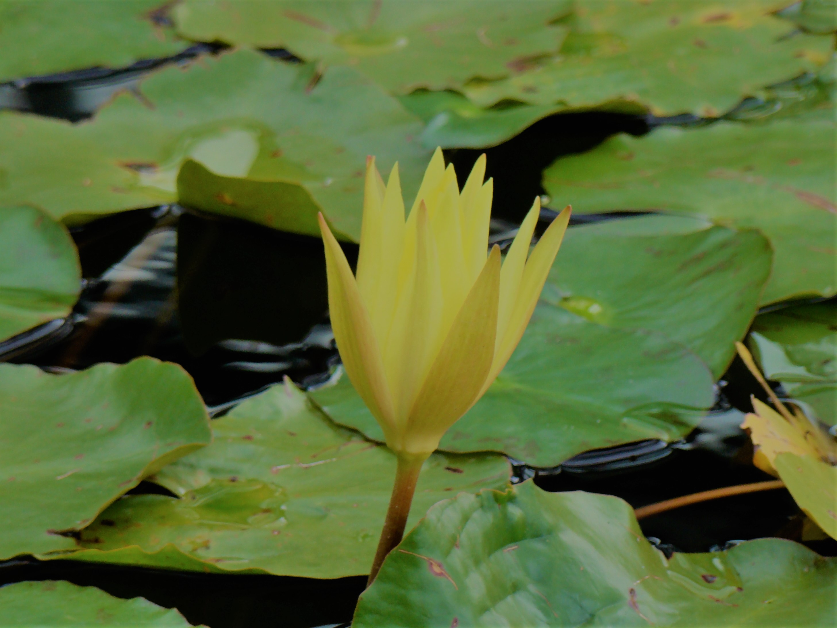 Profile picture for user maddie-m-m-2023