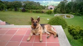 Profile picture for user adrigea2110