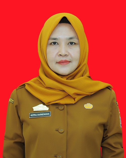 Profile picture for user nopraharnengsih