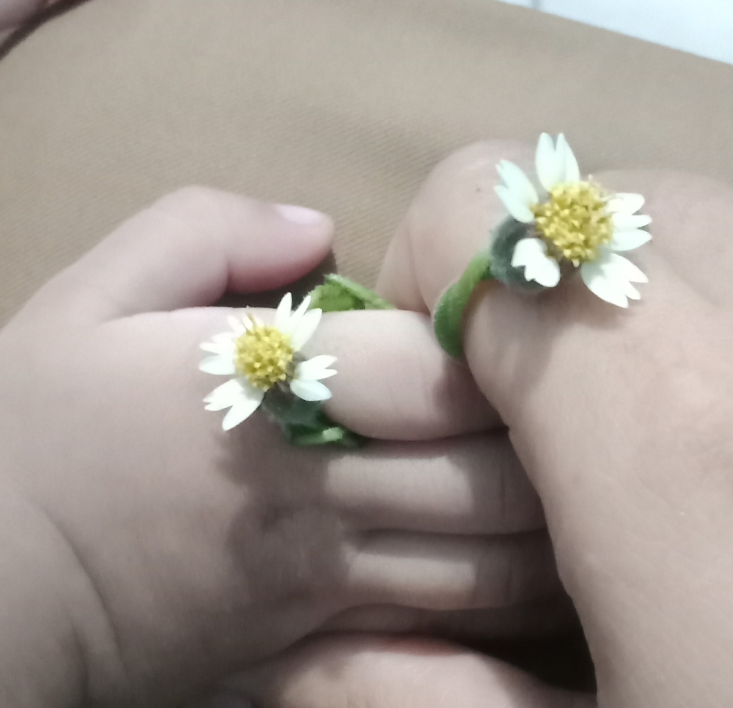 Profile picture for user raraswidiyanti