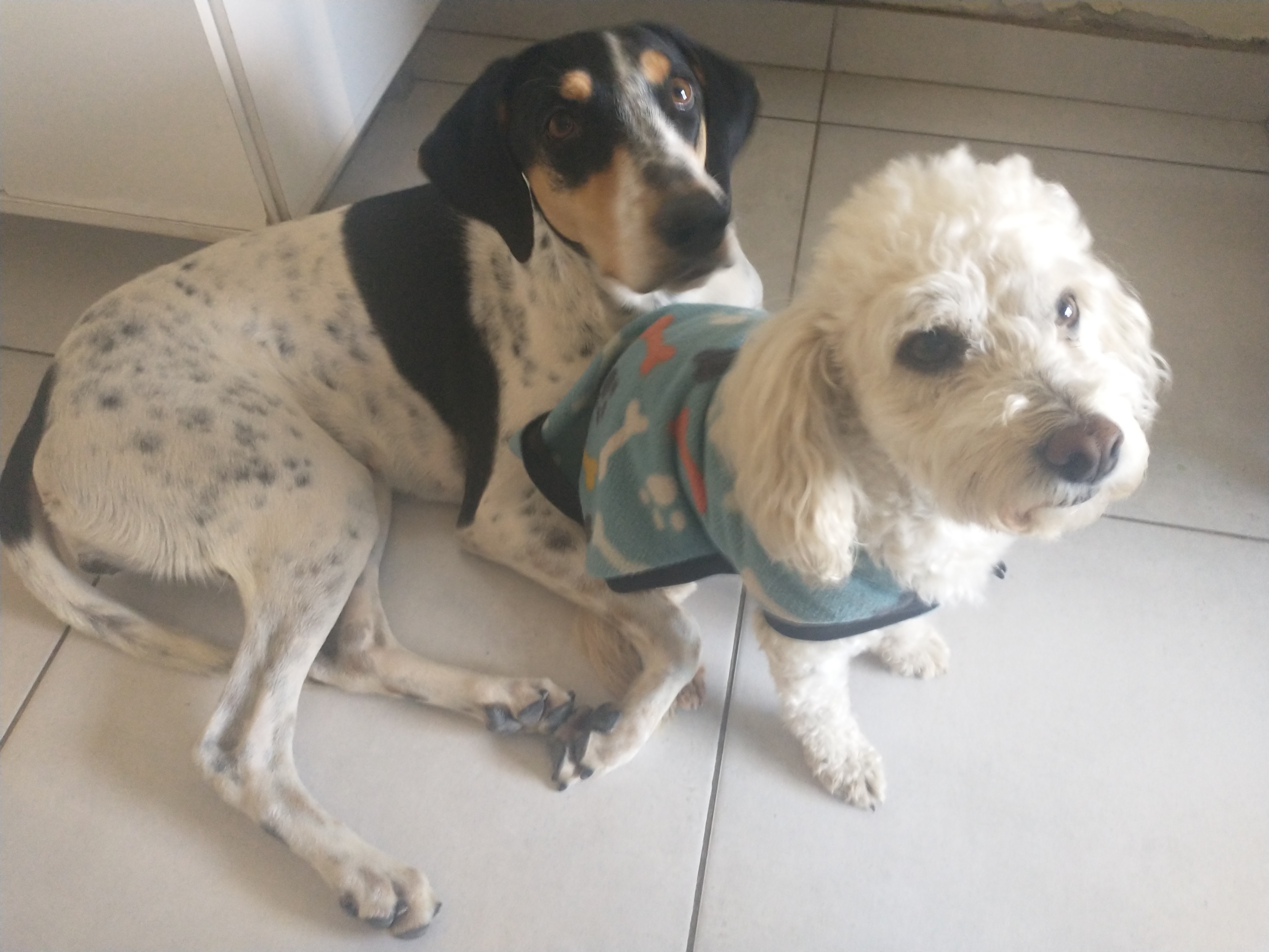 Profile picture for user ProfeRominaD