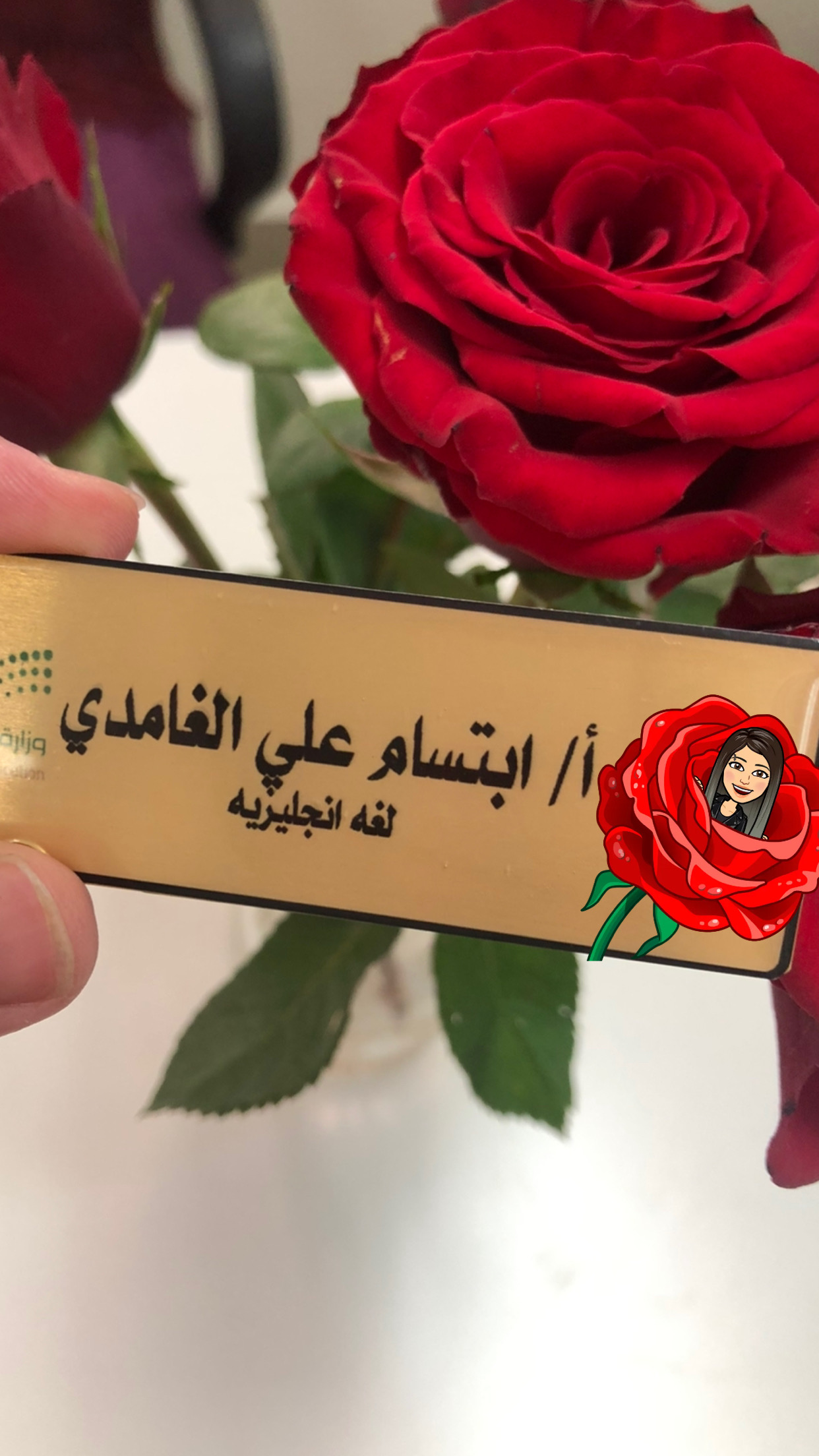 Profile picture for user EbtisamAlghamdi