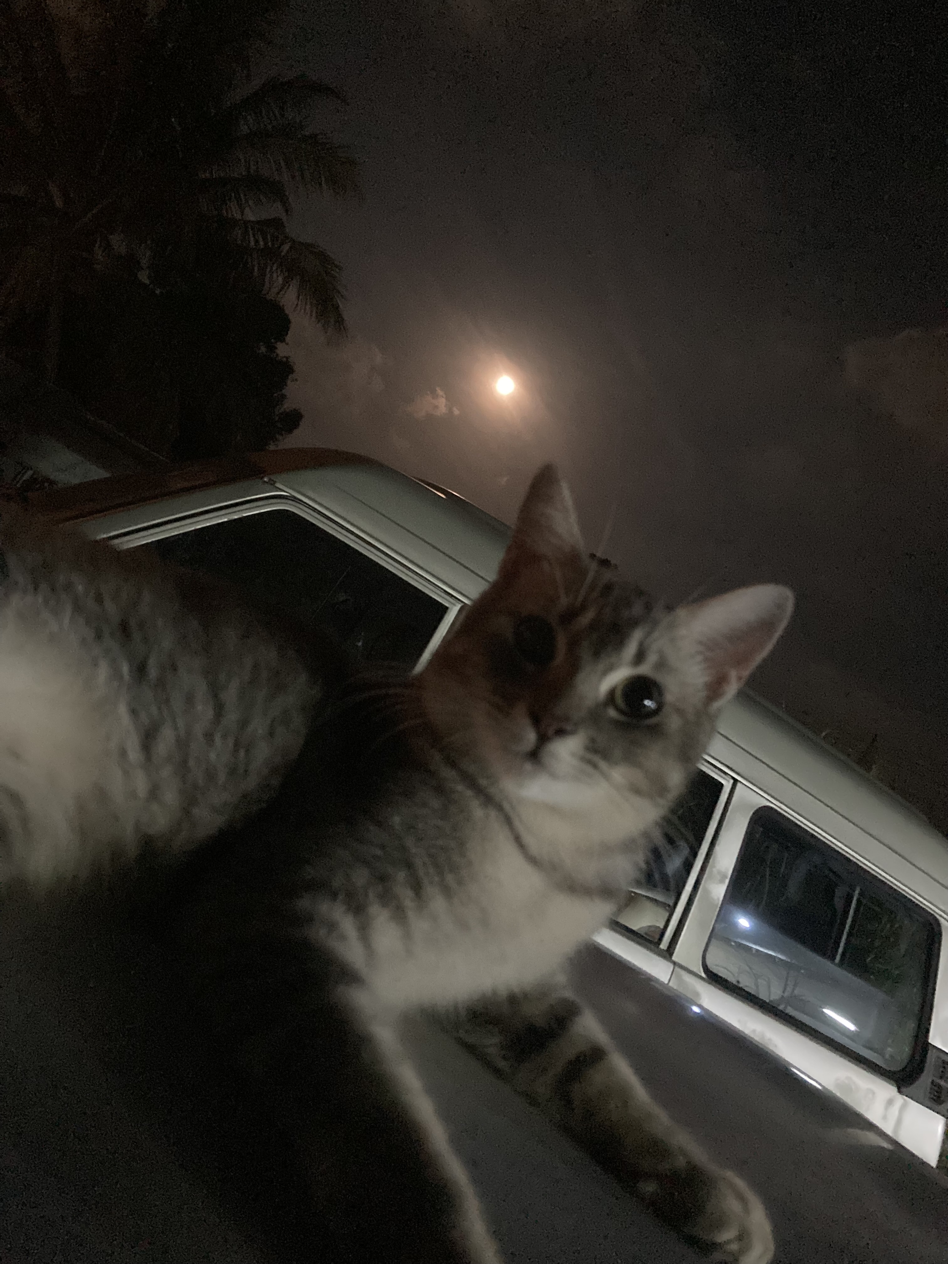 Profile picture for user Nanni109