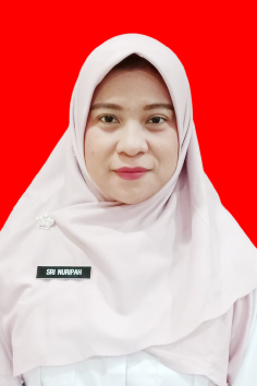 Profile picture for user srinuripah