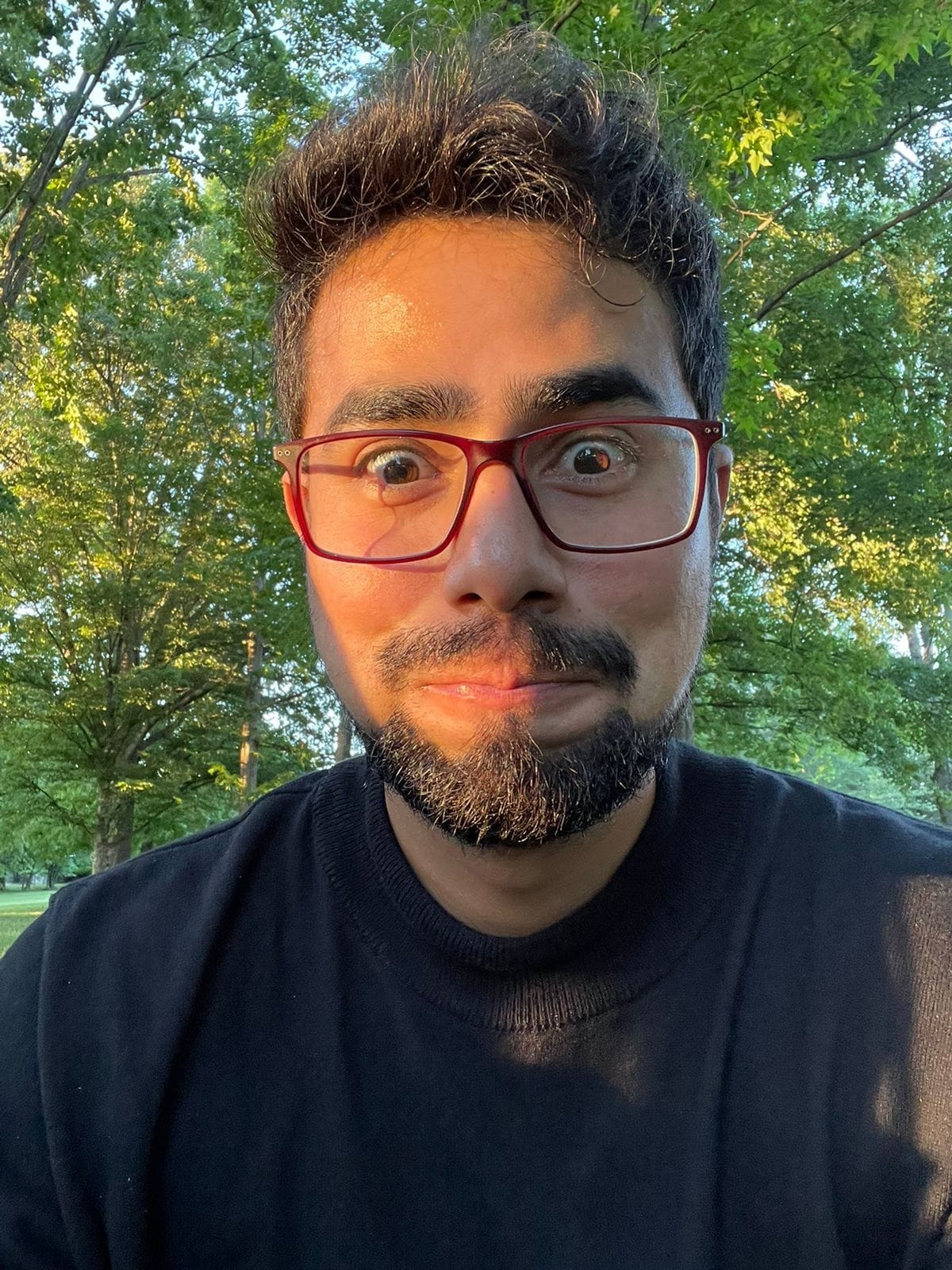 Profile picture for user ludwige