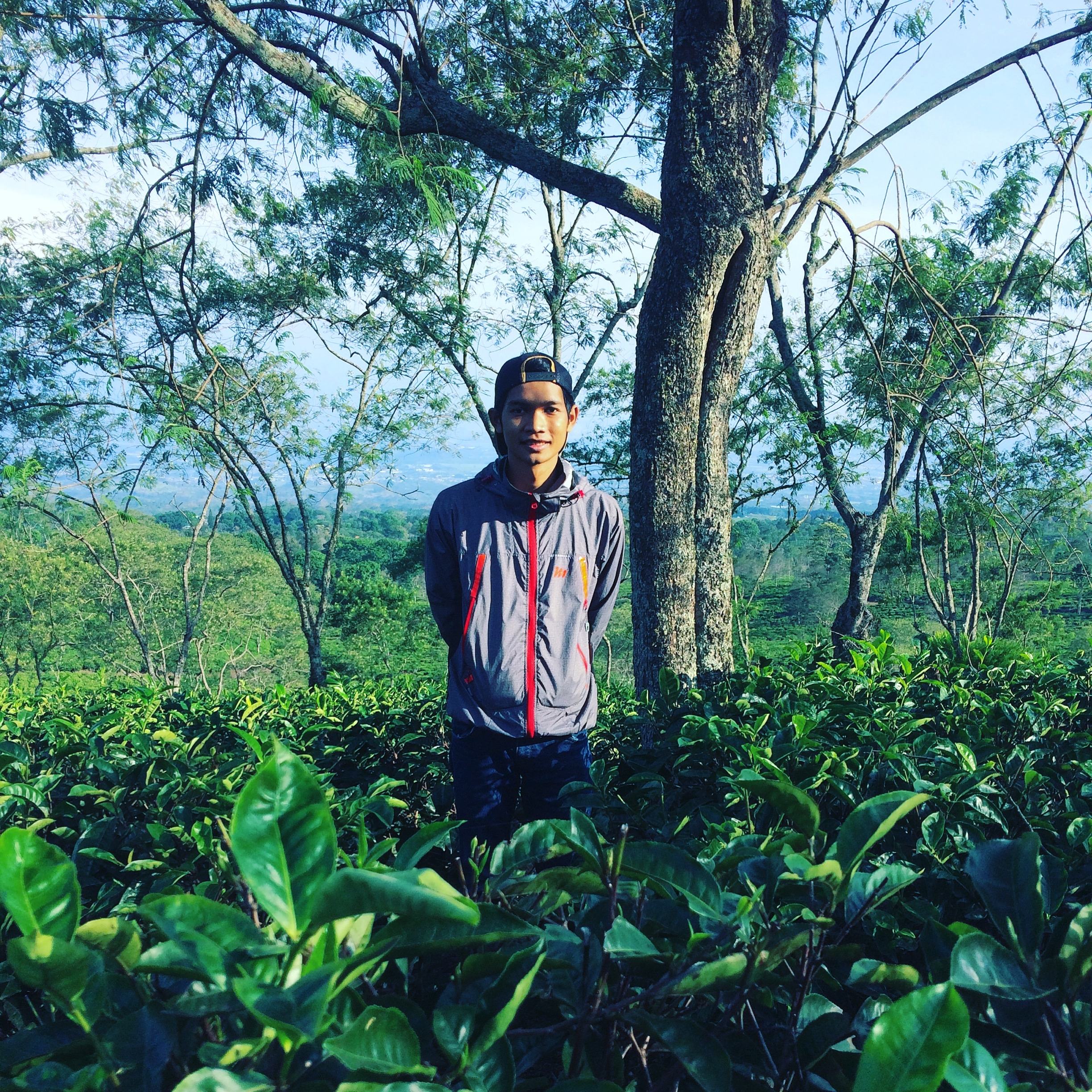 Profile picture for user M. Rojih Makmury