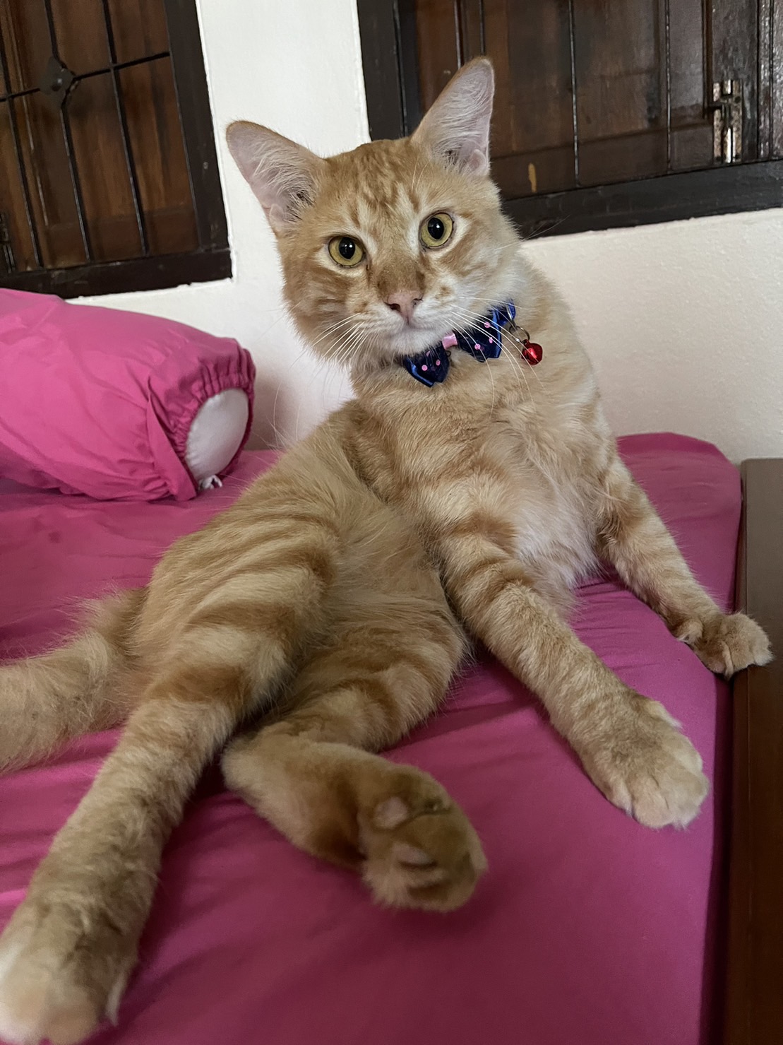 Profile picture for user rakkit