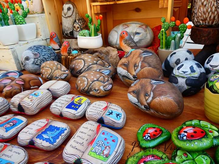 Profile picture for user drukpaibhu