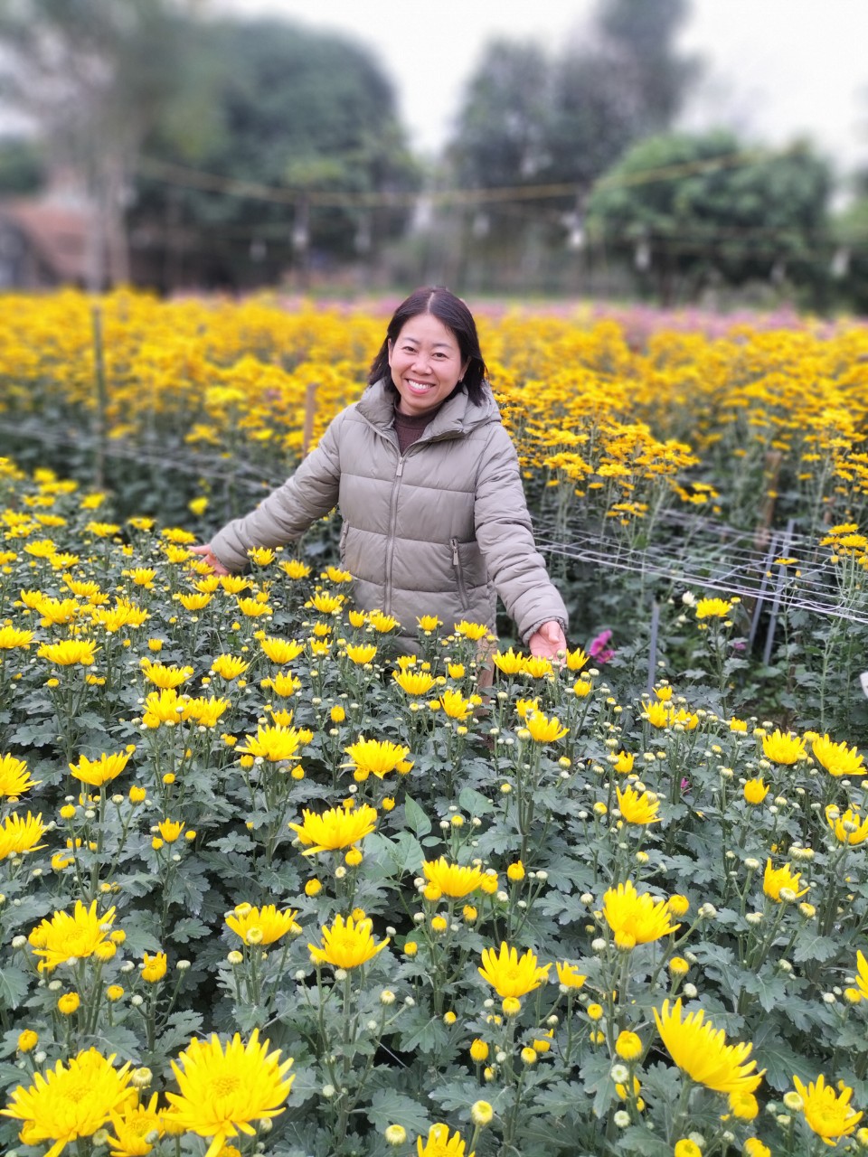 Profile picture for user Nguyensinh