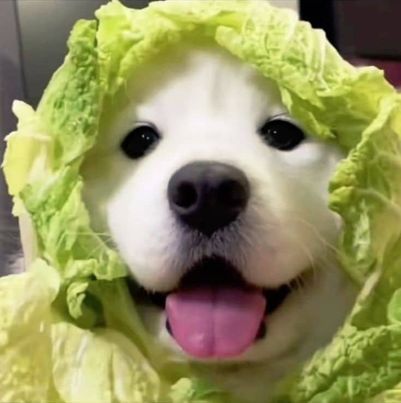 Profile picture for user ashlynnye