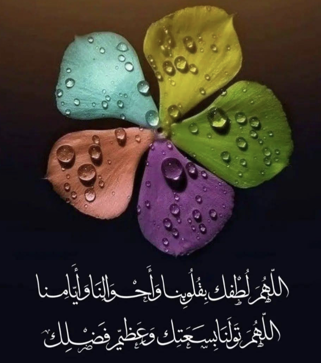 Profile picture for user suad saleh