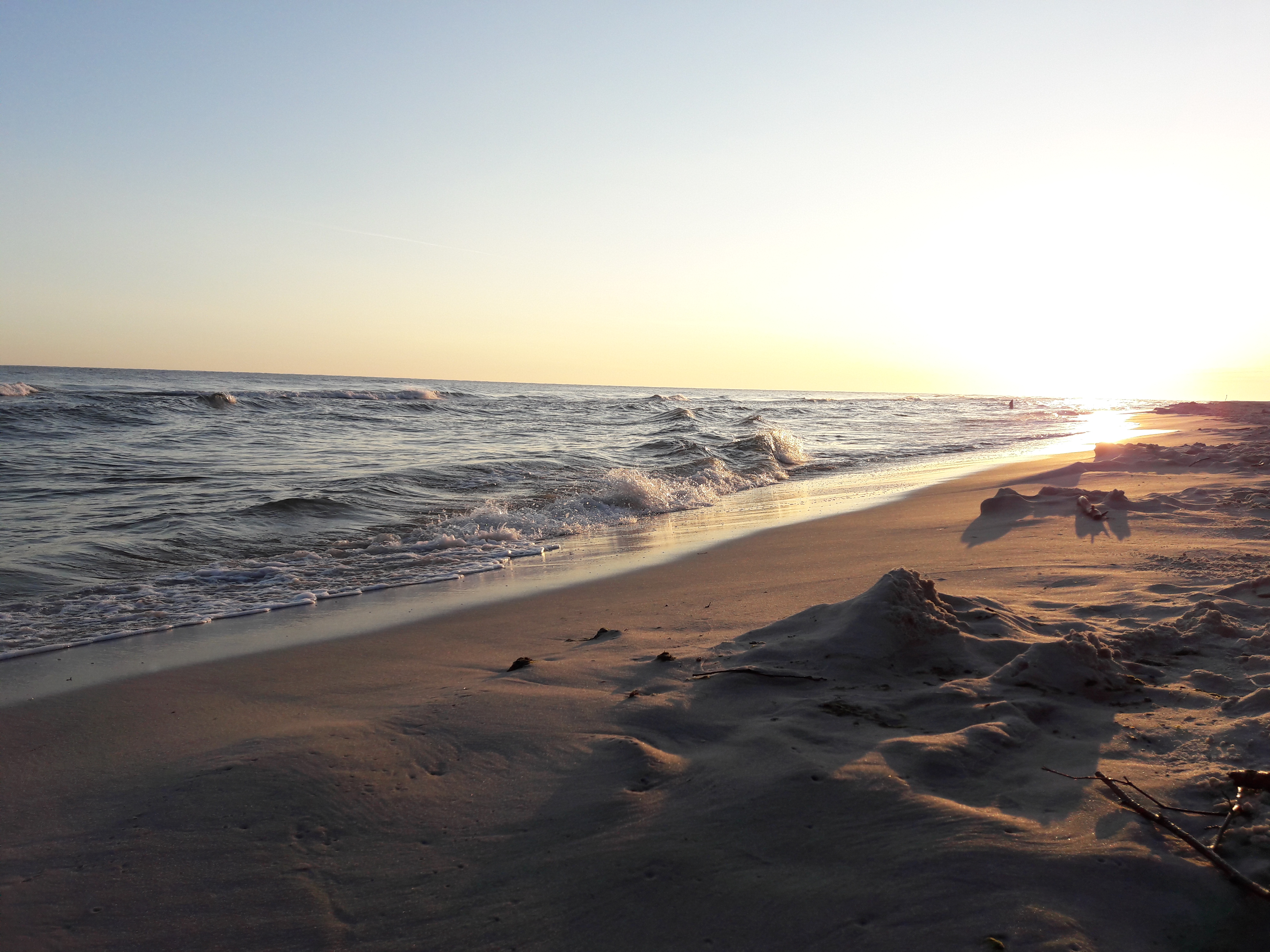 Profile picture for user beti1909