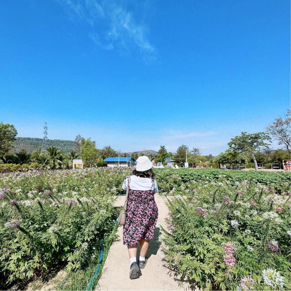 Profile picture for user jennyxdef