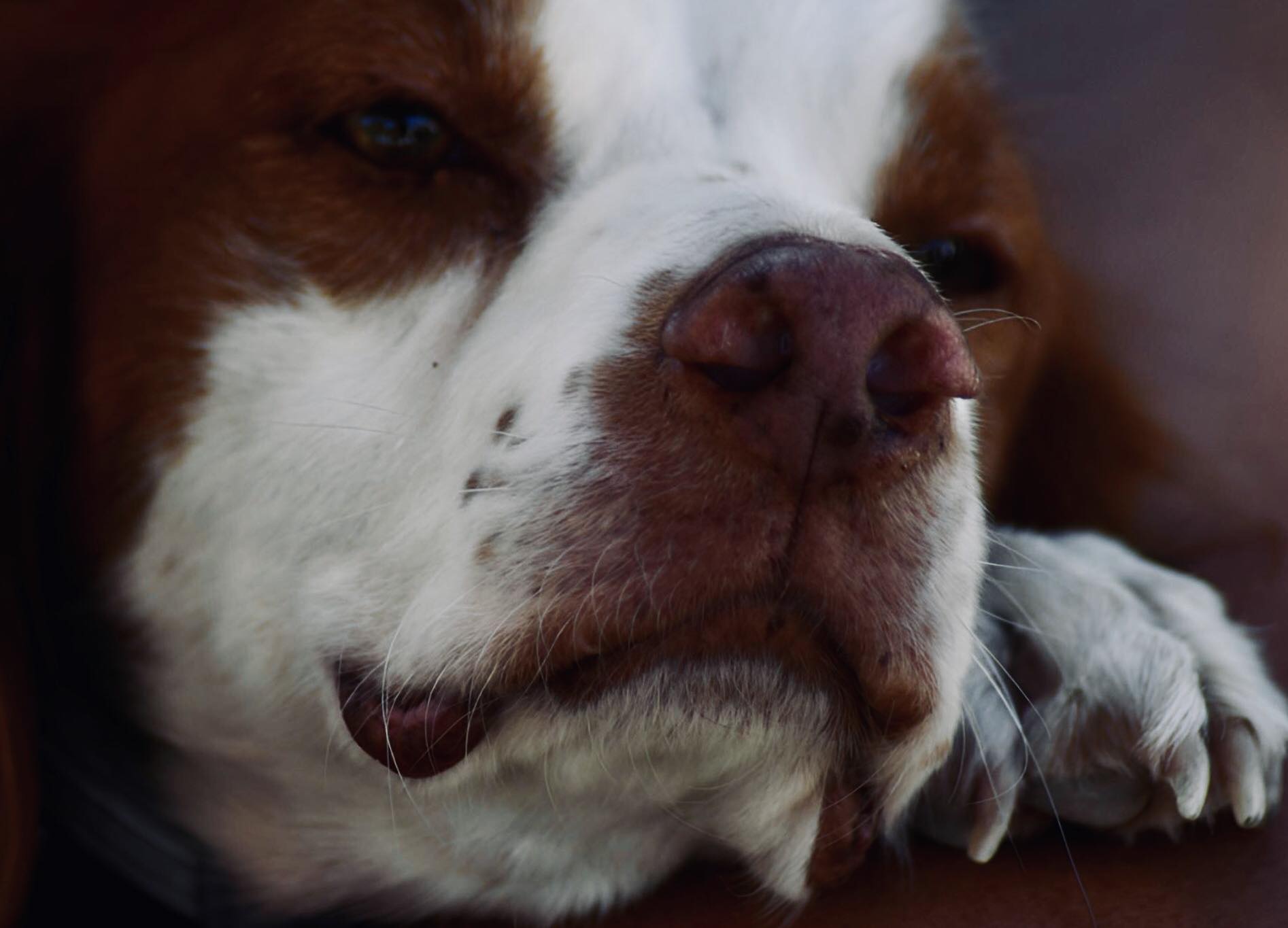 Profile picture for user miguelonpirulon