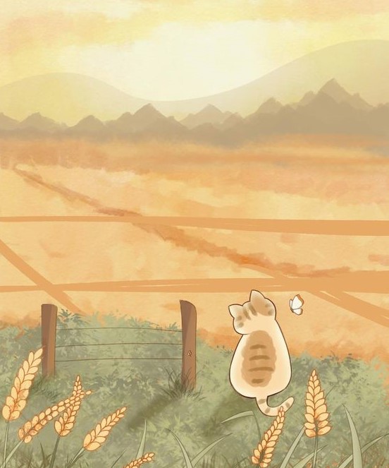 Profile picture for user MP216