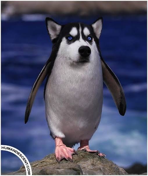 Profile picture for user Kru_Kengkard