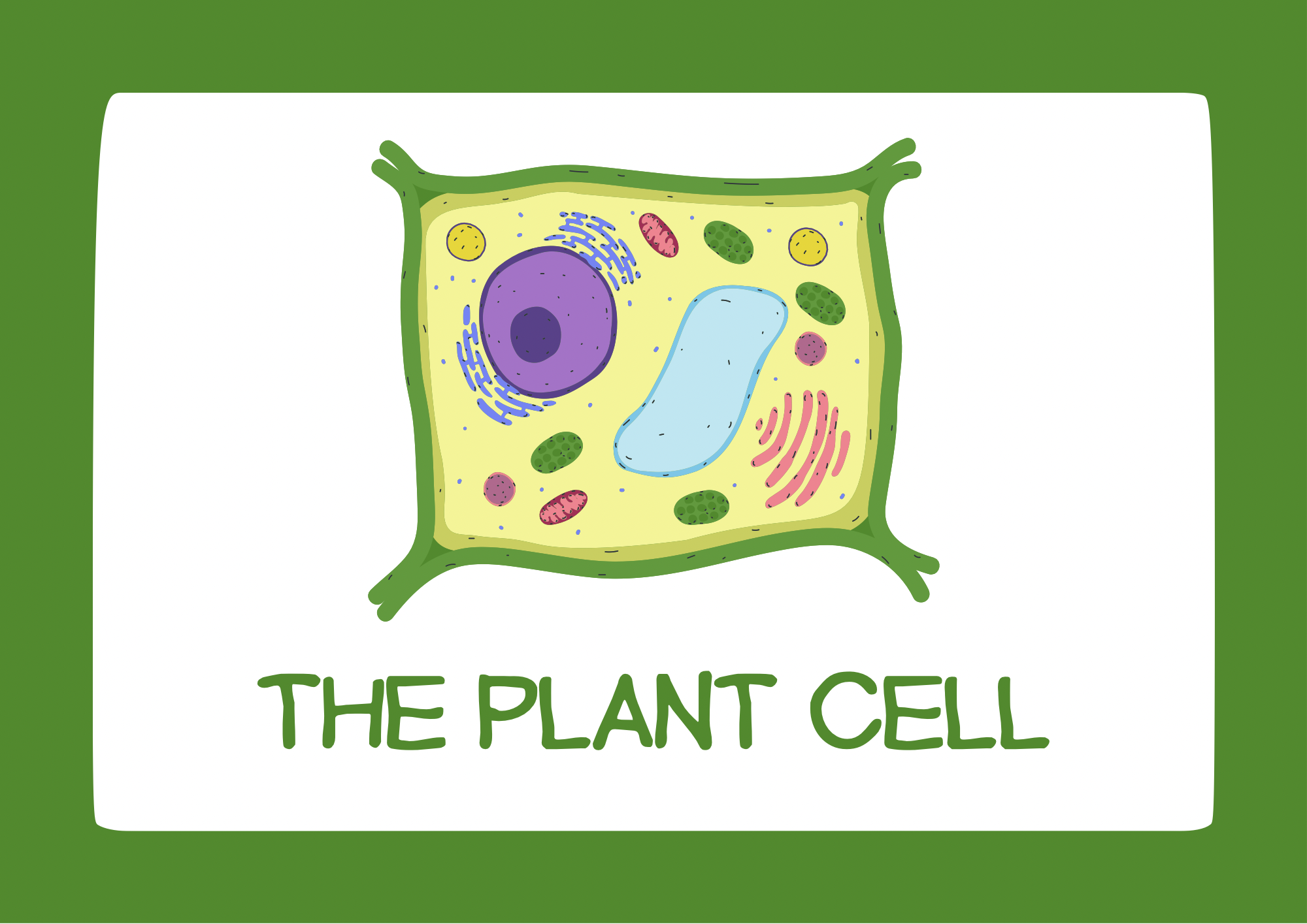 Profile picture for user samarhisham