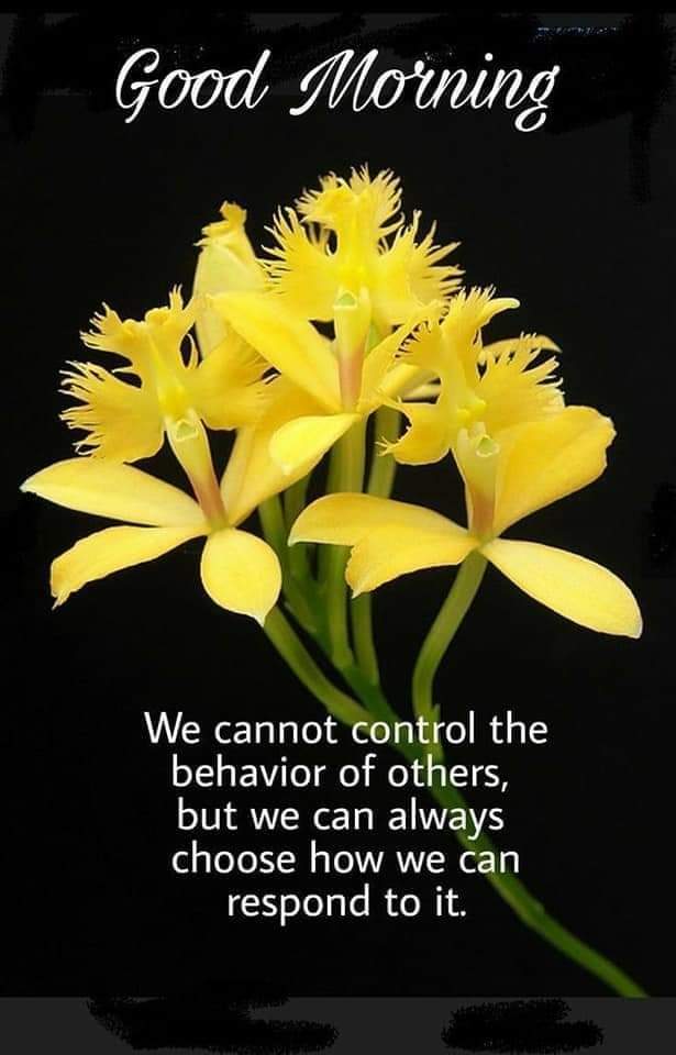 Profile picture for user nikitadool