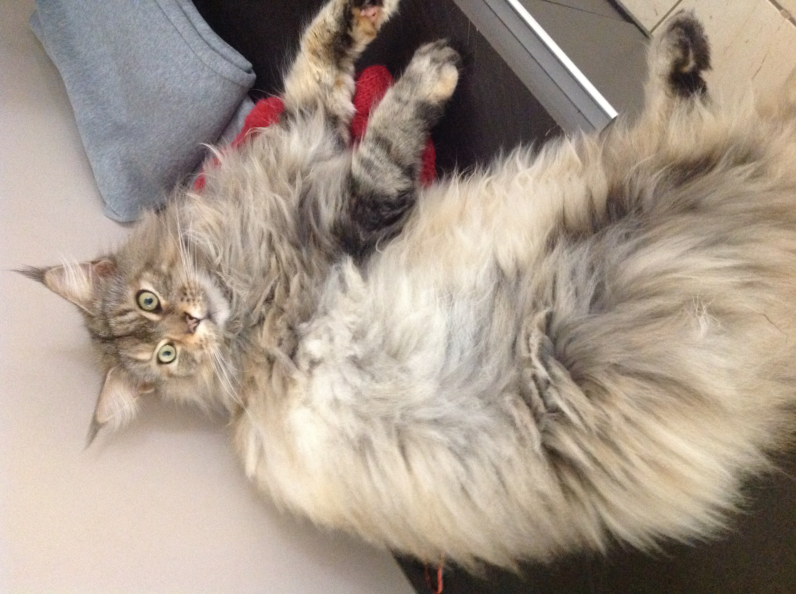 Profile picture for user KOUMAD